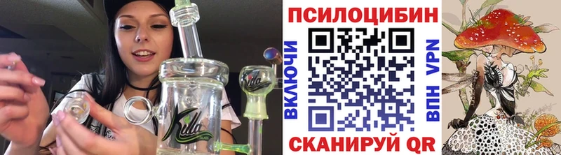 как найти наркотики  Суворов  Галлюциногенные грибы ЛСД 